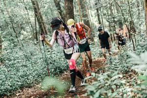 BIB: 
                            <button type="button" onclick="openModal(25463700)" class="btn btn-primary btn-sm float-right btn-popup" data-toggle="modal" data-target=".modal-high-quality">
                        <i class="fas fa-shopping-cart"></i> Add to Cart
                    </button>
                                            <button type="button" onclick="isThisMe(25463700, true)" class="btn btn-success btn-sm float-right btn-popup btn-isme hidden" data-toggle="tooltip" data-placement="bottom" title="นี่คือรูปของคุณใช่ไหม คลิกที่นี่เพื่อเอาเข้าอัลบั้ม">
                        <i class="fas fa-plus"></i> Add to album
                    </button>
                    <button type="button" onclick="isThisMe(25463700, false)" class="btn btn-warning btn-sm float-right btn-popup btn-isnotme hidden">
                        <i class="fas fa-ban"></i> Remove from album
                    </button>