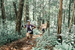 BIB: 
                            <button type="button" onclick="openModal(25469911)" class="btn btn-primary btn-sm float-right btn-popup" data-toggle="modal" data-target=".modal-high-quality">
                        <i class="fas fa-shopping-cart"></i> Add to Cart
                    </button>
                                            <button type="button" onclick="isThisMe(25469911, true)" class="btn btn-success btn-sm float-right btn-popup btn-isme hidden" data-toggle="tooltip" data-placement="bottom" title="นี่คือรูปของคุณใช่ไหม คลิกที่นี่เพื่อเอาเข้าอัลบั้ม">
                        <i class="fas fa-plus"></i> Add to album
                    </button>
                    <button type="button" onclick="isThisMe(25469911, false)" class="btn btn-warning btn-sm float-right btn-popup btn-isnotme hidden">
                        <i class="fas fa-ban"></i> Remove from album
                    </button>