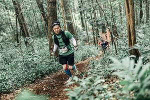 BIB: 
                            <button type="button" onclick="openModal(25464486)" class="btn btn-primary btn-sm float-right btn-popup" data-toggle="modal" data-target=".modal-high-quality">
                        <i class="fas fa-shopping-cart"></i> Add to Cart
                    </button>
                                            <button type="button" onclick="isThisMe(25464486, true)" class="btn btn-success btn-sm float-right btn-popup btn-isme hidden" data-toggle="tooltip" data-placement="bottom" title="นี่คือรูปของคุณใช่ไหม คลิกที่นี่เพื่อเอาเข้าอัลบั้ม">
                        <i class="fas fa-plus"></i> Add to album
                    </button>
                    <button type="button" onclick="isThisMe(25464486, false)" class="btn btn-warning btn-sm float-right btn-popup btn-isnotme hidden">
                        <i class="fas fa-ban"></i> Remove from album
                    </button>