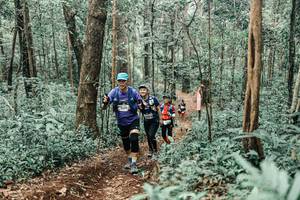 BIB: 
                            <button type="button" onclick="openModal(25471441)" class="btn btn-primary btn-sm float-right btn-popup" data-toggle="modal" data-target=".modal-high-quality">
                        <i class="fas fa-shopping-cart"></i> Add to Cart
                    </button>
                                            <button type="button" onclick="isThisMe(25471441, true)" class="btn btn-success btn-sm float-right btn-popup btn-isme hidden" data-toggle="tooltip" data-placement="bottom" title="นี่คือรูปของคุณใช่ไหม คลิกที่นี่เพื่อเอาเข้าอัลบั้ม">
                        <i class="fas fa-plus"></i> Add to album
                    </button>
                    <button type="button" onclick="isThisMe(25471441, false)" class="btn btn-warning btn-sm float-right btn-popup btn-isnotme hidden">
                        <i class="fas fa-ban"></i> Remove from album
                    </button>