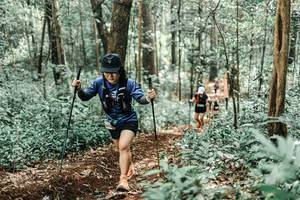 BIB: 
                            <button type="button" onclick="openModal(25473354)" class="btn btn-primary btn-sm float-right btn-popup" data-toggle="modal" data-target=".modal-high-quality">
                        <i class="fas fa-shopping-cart"></i> Add to Cart
                    </button>
                                            <button type="button" onclick="isThisMe(25473354, true)" class="btn btn-success btn-sm float-right btn-popup btn-isme hidden" data-toggle="tooltip" data-placement="bottom" title="นี่คือรูปของคุณใช่ไหม คลิกที่นี่เพื่อเอาเข้าอัลบั้ม">
                        <i class="fas fa-plus"></i> Add to album
                    </button>
                    <button type="button" onclick="isThisMe(25473354, false)" class="btn btn-warning btn-sm float-right btn-popup btn-isnotme hidden">
                        <i class="fas fa-ban"></i> Remove from album
                    </button>