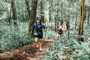 BIB: 
                            <button type="button" onclick="openModal(25473322)" class="btn btn-primary btn-sm float-right btn-popup" data-toggle="modal" data-target=".modal-high-quality">
                        <i class="fas fa-shopping-cart"></i> Add to Cart
                    </button>
                                            <button type="button" onclick="isThisMe(25473322, true)" class="btn btn-success btn-sm float-right btn-popup btn-isme hidden" data-toggle="tooltip" data-placement="bottom" title="นี่คือรูปของคุณใช่ไหม คลิกที่นี่เพื่อเอาเข้าอัลบั้ม">
                        <i class="fas fa-plus"></i> Add to album
                    </button>
                    <button type="button" onclick="isThisMe(25473322, false)" class="btn btn-warning btn-sm float-right btn-popup btn-isnotme hidden">
                        <i class="fas fa-ban"></i> Remove from album
                    </button>