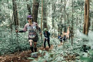 BIB: 
                            <button type="button" onclick="openModal(25469217)" class="btn btn-primary btn-sm float-right btn-popup" data-toggle="modal" data-target=".modal-high-quality">
                        <i class="fas fa-shopping-cart"></i> Add to Cart
                    </button>
                                            <button type="button" onclick="isThisMe(25469217, true)" class="btn btn-success btn-sm float-right btn-popup btn-isme hidden" data-toggle="tooltip" data-placement="bottom" title="นี่คือรูปของคุณใช่ไหม คลิกที่นี่เพื่อเอาเข้าอัลบั้ม">
                        <i class="fas fa-plus"></i> Add to album
                    </button>
                    <button type="button" onclick="isThisMe(25469217, false)" class="btn btn-warning btn-sm float-right btn-popup btn-isnotme hidden">
                        <i class="fas fa-ban"></i> Remove from album
                    </button>