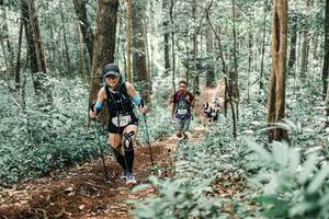 BIB: 
                            <button type="button" onclick="openModal(25469307)" class="btn btn-primary btn-sm float-right btn-popup" data-toggle="modal" data-target=".modal-high-quality">
                        <i class="fas fa-shopping-cart"></i> Add to Cart
                    </button>
                                            <button type="button" onclick="isThisMe(25469307, true)" class="btn btn-success btn-sm float-right btn-popup btn-isme hidden" data-toggle="tooltip" data-placement="bottom" title="นี่คือรูปของคุณใช่ไหม คลิกที่นี่เพื่อเอาเข้าอัลบั้ม">
                        <i class="fas fa-plus"></i> Add to album
                    </button>
                    <button type="button" onclick="isThisMe(25469307, false)" class="btn btn-warning btn-sm float-right btn-popup btn-isnotme hidden">
                        <i class="fas fa-ban"></i> Remove from album
                    </button>