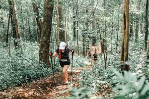 BIB: 
                            <button type="button" onclick="openModal(25473380)" class="btn btn-primary btn-sm float-right btn-popup" data-toggle="modal" data-target=".modal-high-quality">
                        <i class="fas fa-shopping-cart"></i> Add to Cart
                    </button>
                                            <button type="button" onclick="isThisMe(25473380, true)" class="btn btn-success btn-sm float-right btn-popup btn-isme hidden" data-toggle="tooltip" data-placement="bottom" title="นี่คือรูปของคุณใช่ไหม คลิกที่นี่เพื่อเอาเข้าอัลบั้ม">
                        <i class="fas fa-plus"></i> Add to album
                    </button>
                    <button type="button" onclick="isThisMe(25473380, false)" class="btn btn-warning btn-sm float-right btn-popup btn-isnotme hidden">
                        <i class="fas fa-ban"></i> Remove from album
                    </button>