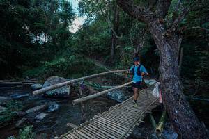 BIB: 
                            <button type="button" onclick="openModal(25235066)" class="btn btn-primary btn-sm float-right btn-popup" data-toggle="modal" data-target=".modal-high-quality">
                        <i class="fas fa-shopping-cart"></i> Add to Cart
                    </button>
                                            <button type="button" onclick="isThisMe(25235066, true)" class="btn btn-success btn-sm float-right btn-popup btn-isme hidden" data-toggle="tooltip" data-placement="bottom" title="นี่คือรูปของคุณใช่ไหม คลิกที่นี่เพื่อเอาเข้าอัลบั้ม">
                        <i class="fas fa-plus"></i> Add to album
                    </button>
                    <button type="button" onclick="isThisMe(25235066, false)" class="btn btn-warning btn-sm float-right btn-popup btn-isnotme hidden">
                        <i class="fas fa-ban"></i> Remove from album
                    </button>