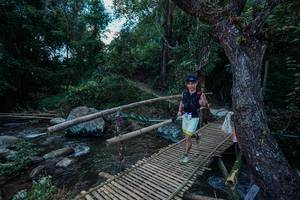 BIB: 
                            <button type="button" onclick="openModal(25235178)" class="btn btn-primary btn-sm float-right btn-popup" data-toggle="modal" data-target=".modal-high-quality">
                        <i class="fas fa-shopping-cart"></i> Add to Cart
                    </button>
                                            <button type="button" onclick="isThisMe(25235178, true)" class="btn btn-success btn-sm float-right btn-popup btn-isme hidden" data-toggle="tooltip" data-placement="bottom" title="นี่คือรูปของคุณใช่ไหม คลิกที่นี่เพื่อเอาเข้าอัลบั้ม">
                        <i class="fas fa-plus"></i> Add to album
                    </button>
                    <button type="button" onclick="isThisMe(25235178, false)" class="btn btn-warning btn-sm float-right btn-popup btn-isnotme hidden">
                        <i class="fas fa-ban"></i> Remove from album
                    </button>