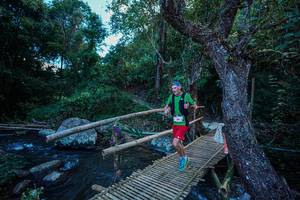 BIB: 
                            <button type="button" onclick="openModal(25235264)" class="btn btn-primary btn-sm float-right btn-popup" data-toggle="modal" data-target=".modal-high-quality">
                        <i class="fas fa-shopping-cart"></i> Add to Cart
                    </button>
                                            <button type="button" onclick="isThisMe(25235264, true)" class="btn btn-success btn-sm float-right btn-popup btn-isme hidden" data-toggle="tooltip" data-placement="bottom" title="นี่คือรูปของคุณใช่ไหม คลิกที่นี่เพื่อเอาเข้าอัลบั้ม">
                        <i class="fas fa-plus"></i> Add to album
                    </button>
                    <button type="button" onclick="isThisMe(25235264, false)" class="btn btn-warning btn-sm float-right btn-popup btn-isnotme hidden">
                        <i class="fas fa-ban"></i> Remove from album
                    </button>