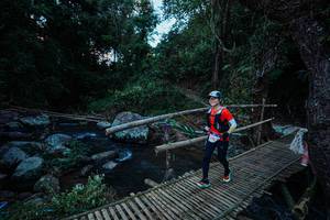 BIB: 
                            <button type="button" onclick="openModal(25232645)" class="btn btn-primary btn-sm float-right btn-popup" data-toggle="modal" data-target=".modal-high-quality">
                        <i class="fas fa-shopping-cart"></i> Add to Cart
                    </button>
                                            <button type="button" onclick="isThisMe(25232645, true)" class="btn btn-success btn-sm float-right btn-popup btn-isme hidden" data-toggle="tooltip" data-placement="bottom" title="นี่คือรูปของคุณใช่ไหม คลิกที่นี่เพื่อเอาเข้าอัลบั้ม">
                        <i class="fas fa-plus"></i> Add to album
                    </button>
                    <button type="button" onclick="isThisMe(25232645, false)" class="btn btn-warning btn-sm float-right btn-popup btn-isnotme hidden">
                        <i class="fas fa-ban"></i> Remove from album
                    </button>