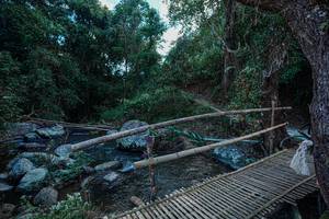 BIB: 
                            <button type="button" onclick="openModal(25234968)" class="btn btn-primary btn-sm float-right btn-popup" data-toggle="modal" data-target=".modal-high-quality">
                        <i class="fas fa-shopping-cart"></i> Add to Cart
                    </button>
                                            <button type="button" onclick="isThisMe(25234968, true)" class="btn btn-success btn-sm float-right btn-popup btn-isme hidden" data-toggle="tooltip" data-placement="bottom" title="นี่คือรูปของคุณใช่ไหม คลิกที่นี่เพื่อเอาเข้าอัลบั้ม">
                        <i class="fas fa-plus"></i> Add to album
                    </button>
                    <button type="button" onclick="isThisMe(25234968, false)" class="btn btn-warning btn-sm float-right btn-popup btn-isnotme hidden">
                        <i class="fas fa-ban"></i> Remove from album
                    </button>