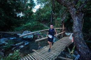 BIB: 
                            <button type="button" onclick="openModal(25235362)" class="btn btn-primary btn-sm float-right btn-popup" data-toggle="modal" data-target=".modal-high-quality">
                        <i class="fas fa-shopping-cart"></i> Add to Cart
                    </button>
                                            <button type="button" onclick="isThisMe(25235362, true)" class="btn btn-success btn-sm float-right btn-popup btn-isme hidden" data-toggle="tooltip" data-placement="bottom" title="นี่คือรูปของคุณใช่ไหม คลิกที่นี่เพื่อเอาเข้าอัลบั้ม">
                        <i class="fas fa-plus"></i> Add to album
                    </button>
                    <button type="button" onclick="isThisMe(25235362, false)" class="btn btn-warning btn-sm float-right btn-popup btn-isnotme hidden">
                        <i class="fas fa-ban"></i> Remove from album
                    </button>