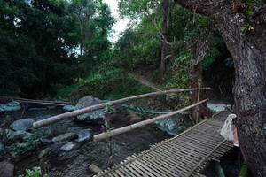 BIB: 
                            <button type="button" onclick="openModal(25234943)" class="btn btn-primary btn-sm float-right btn-popup" data-toggle="modal" data-target=".modal-high-quality">
                        <i class="fas fa-shopping-cart"></i> Add to Cart
                    </button>
                                            <button type="button" onclick="isThisMe(25234943, true)" class="btn btn-success btn-sm float-right btn-popup btn-isme hidden" data-toggle="tooltip" data-placement="bottom" title="นี่คือรูปของคุณใช่ไหม คลิกที่นี่เพื่อเอาเข้าอัลบั้ม">
                        <i class="fas fa-plus"></i> Add to album
                    </button>
                    <button type="button" onclick="isThisMe(25234943, false)" class="btn btn-warning btn-sm float-right btn-popup btn-isnotme hidden">
                        <i class="fas fa-ban"></i> Remove from album
                    </button>