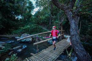 BIB: 
                            <button type="button" onclick="openModal(25235275)" class="btn btn-primary btn-sm float-right btn-popup" data-toggle="modal" data-target=".modal-high-quality">
                        <i class="fas fa-shopping-cart"></i> Add to Cart
                    </button>
                                            <button type="button" onclick="isThisMe(25235275, true)" class="btn btn-success btn-sm float-right btn-popup btn-isme hidden" data-toggle="tooltip" data-placement="bottom" title="นี่คือรูปของคุณใช่ไหม คลิกที่นี่เพื่อเอาเข้าอัลบั้ม">
                        <i class="fas fa-plus"></i> Add to album
                    </button>
                    <button type="button" onclick="isThisMe(25235275, false)" class="btn btn-warning btn-sm float-right btn-popup btn-isnotme hidden">
                        <i class="fas fa-ban"></i> Remove from album
                    </button>