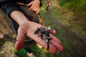 BIB: 
                            <button type="button" onclick="openModal(25234826)" class="btn btn-primary btn-sm float-right btn-popup" data-toggle="modal" data-target=".modal-high-quality">
                        <i class="fas fa-shopping-cart"></i> Add to Cart
                    </button>
                                            <button type="button" onclick="isThisMe(25234826, true)" class="btn btn-success btn-sm float-right btn-popup btn-isme hidden" data-toggle="tooltip" data-placement="bottom" title="นี่คือรูปของคุณใช่ไหม คลิกที่นี่เพื่อเอาเข้าอัลบั้ม">
                        <i class="fas fa-plus"></i> Add to album
                    </button>
                    <button type="button" onclick="isThisMe(25234826, false)" class="btn btn-warning btn-sm float-right btn-popup btn-isnotme hidden">
                        <i class="fas fa-ban"></i> Remove from album
                    </button>