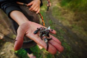 BIB: 
                            <button type="button" onclick="openModal(25234837)" class="btn btn-primary btn-sm float-right btn-popup" data-toggle="modal" data-target=".modal-high-quality">
                        <i class="fas fa-shopping-cart"></i> Add to Cart
                    </button>
                                            <button type="button" onclick="isThisMe(25234837, true)" class="btn btn-success btn-sm float-right btn-popup btn-isme hidden" data-toggle="tooltip" data-placement="bottom" title="นี่คือรูปของคุณใช่ไหม คลิกที่นี่เพื่อเอาเข้าอัลบั้ม">
                        <i class="fas fa-plus"></i> Add to album
                    </button>
                    <button type="button" onclick="isThisMe(25234837, false)" class="btn btn-warning btn-sm float-right btn-popup btn-isnotme hidden">
                        <i class="fas fa-ban"></i> Remove from album
                    </button>