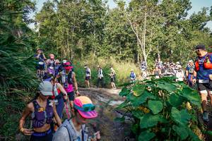 BIB: 
                            <button type="button" onclick="openModal(25669518)" class="btn btn-primary btn-sm float-right btn-popup" data-toggle="modal" data-target=".modal-high-quality">
                        <i class="fas fa-shopping-cart"></i> Add to Cart
                    </button>
                                            <button type="button" onclick="isThisMe(25669518, true)" class="btn btn-success btn-sm float-right btn-popup btn-isme hidden" data-toggle="tooltip" data-placement="bottom" title="นี่คือรูปของคุณใช่ไหม คลิกที่นี่เพื่อเอาเข้าอัลบั้ม">
                        <i class="fas fa-plus"></i> Add to album
                    </button>
                    <button type="button" onclick="isThisMe(25669518, false)" class="btn btn-warning btn-sm float-right btn-popup btn-isnotme hidden">
                        <i class="fas fa-ban"></i> Remove from album
                    </button>