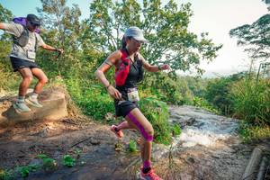 BIB: 
                            <button type="button" onclick="openModal(25682363)" class="btn btn-primary btn-sm float-right btn-popup" data-toggle="modal" data-target=".modal-high-quality">
                        <i class="fas fa-shopping-cart"></i> Add to Cart
                    </button>
                                            <button type="button" onclick="isThisMe(25682363, true)" class="btn btn-success btn-sm float-right btn-popup btn-isme hidden" data-toggle="tooltip" data-placement="bottom" title="นี่คือรูปของคุณใช่ไหม คลิกที่นี่เพื่อเอาเข้าอัลบั้ม">
                        <i class="fas fa-plus"></i> Add to album
                    </button>
                    <button type="button" onclick="isThisMe(25682363, false)" class="btn btn-warning btn-sm float-right btn-popup btn-isnotme hidden">
                        <i class="fas fa-ban"></i> Remove from album
                    </button>