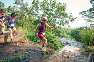 BIB: 
                            <button type="button" onclick="openModal(25687320)" class="btn btn-primary btn-sm float-right btn-popup" data-toggle="modal" data-target=".modal-high-quality">
                        <i class="fas fa-shopping-cart"></i> Add to Cart
                    </button>
                                            <button type="button" onclick="isThisMe(25687320, true)" class="btn btn-success btn-sm float-right btn-popup btn-isme hidden" data-toggle="tooltip" data-placement="bottom" title="นี่คือรูปของคุณใช่ไหม คลิกที่นี่เพื่อเอาเข้าอัลบั้ม">
                        <i class="fas fa-plus"></i> Add to album
                    </button>
                    <button type="button" onclick="isThisMe(25687320, false)" class="btn btn-warning btn-sm float-right btn-popup btn-isnotme hidden">
                        <i class="fas fa-ban"></i> Remove from album
                    </button>