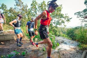 BIB: 
                            <button type="button" onclick="openModal(25697927)" class="btn btn-primary btn-sm float-right btn-popup" data-toggle="modal" data-target=".modal-high-quality">
                        <i class="fas fa-shopping-cart"></i> Add to Cart
                    </button>
                                            <button type="button" onclick="isThisMe(25697927, true)" class="btn btn-success btn-sm float-right btn-popup btn-isme hidden" data-toggle="tooltip" data-placement="bottom" title="นี่คือรูปของคุณใช่ไหม คลิกที่นี่เพื่อเอาเข้าอัลบั้ม">
                        <i class="fas fa-plus"></i> Add to album
                    </button>
                    <button type="button" onclick="isThisMe(25697927, false)" class="btn btn-warning btn-sm float-right btn-popup btn-isnotme hidden">
                        <i class="fas fa-ban"></i> Remove from album
                    </button>