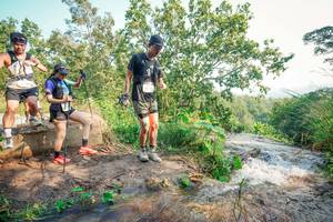 BIB: 
                            <button type="button" onclick="openModal(25708362)" class="btn btn-primary btn-sm float-right btn-popup" data-toggle="modal" data-target=".modal-high-quality">
                        <i class="fas fa-shopping-cart"></i> Add to Cart
                    </button>
                                            <button type="button" onclick="isThisMe(25708362, true)" class="btn btn-success btn-sm float-right btn-popup btn-isme hidden" data-toggle="tooltip" data-placement="bottom" title="นี่คือรูปของคุณใช่ไหม คลิกที่นี่เพื่อเอาเข้าอัลบั้ม">
                        <i class="fas fa-plus"></i> Add to album
                    </button>
                    <button type="button" onclick="isThisMe(25708362, false)" class="btn btn-warning btn-sm float-right btn-popup btn-isnotme hidden">
                        <i class="fas fa-ban"></i> Remove from album
                    </button>