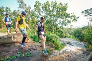 BIB: 
                            <button type="button" onclick="openModal(25686903)" class="btn btn-primary btn-sm float-right btn-popup" data-toggle="modal" data-target=".modal-high-quality">
                        <i class="fas fa-shopping-cart"></i> Add to Cart
                    </button>
                                            <button type="button" onclick="isThisMe(25686903, true)" class="btn btn-success btn-sm float-right btn-popup btn-isme hidden" data-toggle="tooltip" data-placement="bottom" title="นี่คือรูปของคุณใช่ไหม คลิกที่นี่เพื่อเอาเข้าอัลบั้ม">
                        <i class="fas fa-plus"></i> Add to album
                    </button>
                    <button type="button" onclick="isThisMe(25686903, false)" class="btn btn-warning btn-sm float-right btn-popup btn-isnotme hidden">
                        <i class="fas fa-ban"></i> Remove from album
                    </button>