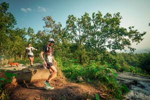 BIB: 
                            <button type="button" onclick="openModal(25674073)" class="btn btn-primary btn-sm float-right btn-popup" data-toggle="modal" data-target=".modal-high-quality">
                        <i class="fas fa-shopping-cart"></i> Add to Cart
                    </button>
                                            <button type="button" onclick="isThisMe(25674073, true)" class="btn btn-success btn-sm float-right btn-popup btn-isme hidden" data-toggle="tooltip" data-placement="bottom" title="นี่คือรูปของคุณใช่ไหม คลิกที่นี่เพื่อเอาเข้าอัลบั้ม">
                        <i class="fas fa-plus"></i> Add to album
                    </button>
                    <button type="button" onclick="isThisMe(25674073, false)" class="btn btn-warning btn-sm float-right btn-popup btn-isnotme hidden">
                        <i class="fas fa-ban"></i> Remove from album
                    </button>