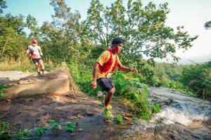 BIB: 
                            <button type="button" onclick="openModal(25682149)" class="btn btn-primary btn-sm float-right btn-popup" data-toggle="modal" data-target=".modal-high-quality">
                        <i class="fas fa-shopping-cart"></i> Add to Cart
                    </button>
                                            <button type="button" onclick="isThisMe(25682149, true)" class="btn btn-success btn-sm float-right btn-popup btn-isme hidden" data-toggle="tooltip" data-placement="bottom" title="นี่คือรูปของคุณใช่ไหม คลิกที่นี่เพื่อเอาเข้าอัลบั้ม">
                        <i class="fas fa-plus"></i> Add to album
                    </button>
                    <button type="button" onclick="isThisMe(25682149, false)" class="btn btn-warning btn-sm float-right btn-popup btn-isnotme hidden">
                        <i class="fas fa-ban"></i> Remove from album
                    </button>