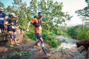 BIB: 
                            <button type="button" onclick="openModal(25704909)" class="btn btn-primary btn-sm float-right btn-popup" data-toggle="modal" data-target=".modal-high-quality">
                        <i class="fas fa-shopping-cart"></i> Add to Cart
                    </button>
                                            <button type="button" onclick="isThisMe(25704909, true)" class="btn btn-success btn-sm float-right btn-popup btn-isme hidden" data-toggle="tooltip" data-placement="bottom" title="นี่คือรูปของคุณใช่ไหม คลิกที่นี่เพื่อเอาเข้าอัลบั้ม">
                        <i class="fas fa-plus"></i> Add to album
                    </button>
                    <button type="button" onclick="isThisMe(25704909, false)" class="btn btn-warning btn-sm float-right btn-popup btn-isnotme hidden">
                        <i class="fas fa-ban"></i> Remove from album
                    </button>