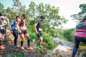 BIB: 
                            <button type="button" onclick="openModal(25697239)" class="btn btn-primary btn-sm float-right btn-popup" data-toggle="modal" data-target=".modal-high-quality">
                        <i class="fas fa-shopping-cart"></i> Add to Cart
                    </button>
                                            <button type="button" onclick="isThisMe(25697239, true)" class="btn btn-success btn-sm float-right btn-popup btn-isme hidden" data-toggle="tooltip" data-placement="bottom" title="นี่คือรูปของคุณใช่ไหม คลิกที่นี่เพื่อเอาเข้าอัลบั้ม">
                        <i class="fas fa-plus"></i> Add to album
                    </button>
                    <button type="button" onclick="isThisMe(25697239, false)" class="btn btn-warning btn-sm float-right btn-popup btn-isnotme hidden">
                        <i class="fas fa-ban"></i> Remove from album
                    </button>