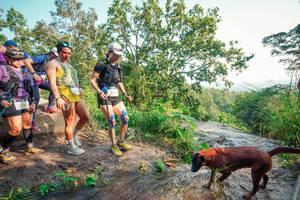 BIB: 
                            <button type="button" onclick="openModal(25704917)" class="btn btn-primary btn-sm float-right btn-popup" data-toggle="modal" data-target=".modal-high-quality">
                        <i class="fas fa-shopping-cart"></i> Add to Cart
                    </button>
                                            <button type="button" onclick="isThisMe(25704917, true)" class="btn btn-success btn-sm float-right btn-popup btn-isme hidden" data-toggle="tooltip" data-placement="bottom" title="นี่คือรูปของคุณใช่ไหม คลิกที่นี่เพื่อเอาเข้าอัลบั้ม">
                        <i class="fas fa-plus"></i> Add to album
                    </button>
                    <button type="button" onclick="isThisMe(25704917, false)" class="btn btn-warning btn-sm float-right btn-popup btn-isnotme hidden">
                        <i class="fas fa-ban"></i> Remove from album
                    </button>