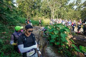 BIB: 
                            <button type="button" onclick="openModal(25668772)" class="btn btn-primary btn-sm float-right btn-popup" data-toggle="modal" data-target=".modal-high-quality">
                        <i class="fas fa-shopping-cart"></i> Add to Cart
                    </button>
                                            <button type="button" onclick="isThisMe(25668772, true)" class="btn btn-success btn-sm float-right btn-popup btn-isme hidden" data-toggle="tooltip" data-placement="bottom" title="นี่คือรูปของคุณใช่ไหม คลิกที่นี่เพื่อเอาเข้าอัลบั้ม">
                        <i class="fas fa-plus"></i> Add to album
                    </button>
                    <button type="button" onclick="isThisMe(25668772, false)" class="btn btn-warning btn-sm float-right btn-popup btn-isnotme hidden">
                        <i class="fas fa-ban"></i> Remove from album
                    </button>