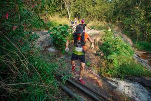 BIB: 
                            <button type="button" onclick="openModal(25677688)" class="btn btn-primary btn-sm float-right btn-popup" data-toggle="modal" data-target=".modal-high-quality">
                        <i class="fas fa-shopping-cart"></i> Add to Cart
                    </button>
                                            <button type="button" onclick="isThisMe(25677688, true)" class="btn btn-success btn-sm float-right btn-popup btn-isme hidden" data-toggle="tooltip" data-placement="bottom" title="นี่คือรูปของคุณใช่ไหม คลิกที่นี่เพื่อเอาเข้าอัลบั้ม">
                        <i class="fas fa-plus"></i> Add to album
                    </button>
                    <button type="button" onclick="isThisMe(25677688, false)" class="btn btn-warning btn-sm float-right btn-popup btn-isnotme hidden">
                        <i class="fas fa-ban"></i> Remove from album
                    </button>