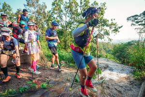 BIB: 
                            <button type="button" onclick="openModal(25705277)" class="btn btn-primary btn-sm float-right btn-popup" data-toggle="modal" data-target=".modal-high-quality">
                        <i class="fas fa-shopping-cart"></i> Add to Cart
                    </button>
                                            <button type="button" onclick="isThisMe(25705277, true)" class="btn btn-success btn-sm float-right btn-popup btn-isme hidden" data-toggle="tooltip" data-placement="bottom" title="นี่คือรูปของคุณใช่ไหม คลิกที่นี่เพื่อเอาเข้าอัลบั้ม">
                        <i class="fas fa-plus"></i> Add to album
                    </button>
                    <button type="button" onclick="isThisMe(25705277, false)" class="btn btn-warning btn-sm float-right btn-popup btn-isnotme hidden">
                        <i class="fas fa-ban"></i> Remove from album
                    </button>