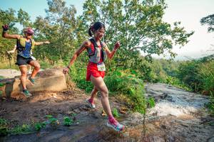 BIB: 
                            <button type="button" onclick="openModal(25681481)" class="btn btn-primary btn-sm float-right btn-popup" data-toggle="modal" data-target=".modal-high-quality">
                        <i class="fas fa-shopping-cart"></i> Add to Cart
                    </button>
                                            <button type="button" onclick="isThisMe(25681481, true)" class="btn btn-success btn-sm float-right btn-popup btn-isme hidden" data-toggle="tooltip" data-placement="bottom" title="นี่คือรูปของคุณใช่ไหม คลิกที่นี่เพื่อเอาเข้าอัลบั้ม">
                        <i class="fas fa-plus"></i> Add to album
                    </button>
                    <button type="button" onclick="isThisMe(25681481, false)" class="btn btn-warning btn-sm float-right btn-popup btn-isnotme hidden">
                        <i class="fas fa-ban"></i> Remove from album
                    </button>