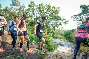 BIB: 
                            <button type="button" onclick="openModal(25697250)" class="btn btn-primary btn-sm float-right btn-popup" data-toggle="modal" data-target=".modal-high-quality">
                        <i class="fas fa-shopping-cart"></i> Add to Cart
                    </button>
                                            <button type="button" onclick="isThisMe(25697250, true)" class="btn btn-success btn-sm float-right btn-popup btn-isme hidden" data-toggle="tooltip" data-placement="bottom" title="นี่คือรูปของคุณใช่ไหม คลิกที่นี่เพื่อเอาเข้าอัลบั้ม">
                        <i class="fas fa-plus"></i> Add to album
                    </button>
                    <button type="button" onclick="isThisMe(25697250, false)" class="btn btn-warning btn-sm float-right btn-popup btn-isnotme hidden">
                        <i class="fas fa-ban"></i> Remove from album
                    </button>