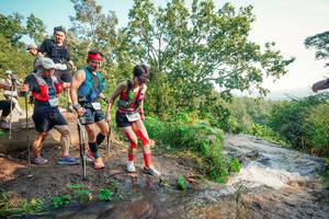 BIB: 
                            <button type="button" onclick="openModal(25695272)" class="btn btn-primary btn-sm float-right btn-popup" data-toggle="modal" data-target=".modal-high-quality">
                        <i class="fas fa-shopping-cart"></i> Add to Cart
                    </button>
                                            <button type="button" onclick="isThisMe(25695272, true)" class="btn btn-success btn-sm float-right btn-popup btn-isme hidden" data-toggle="tooltip" data-placement="bottom" title="นี่คือรูปของคุณใช่ไหม คลิกที่นี่เพื่อเอาเข้าอัลบั้ม">
                        <i class="fas fa-plus"></i> Add to album
                    </button>
                    <button type="button" onclick="isThisMe(25695272, false)" class="btn btn-warning btn-sm float-right btn-popup btn-isnotme hidden">
                        <i class="fas fa-ban"></i> Remove from album
                    </button>