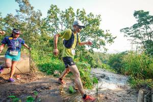 BIB: 
                            <button type="button" onclick="openModal(25680113)" class="btn btn-primary btn-sm float-right btn-popup" data-toggle="modal" data-target=".modal-high-quality">
                        <i class="fas fa-shopping-cart"></i> Add to Cart
                    </button>
                                            <button type="button" onclick="isThisMe(25680113, true)" class="btn btn-success btn-sm float-right btn-popup btn-isme hidden" data-toggle="tooltip" data-placement="bottom" title="นี่คือรูปของคุณใช่ไหม คลิกที่นี่เพื่อเอาเข้าอัลบั้ม">
                        <i class="fas fa-plus"></i> Add to album
                    </button>
                    <button type="button" onclick="isThisMe(25680113, false)" class="btn btn-warning btn-sm float-right btn-popup btn-isnotme hidden">
                        <i class="fas fa-ban"></i> Remove from album
                    </button>