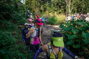 BIB: 
                            <button type="button" onclick="openModal(25669596)" class="btn btn-primary btn-sm float-right btn-popup" data-toggle="modal" data-target=".modal-high-quality">
                        <i class="fas fa-shopping-cart"></i> Add to Cart
                    </button>
                                            <button type="button" onclick="isThisMe(25669596, true)" class="btn btn-success btn-sm float-right btn-popup btn-isme hidden" data-toggle="tooltip" data-placement="bottom" title="นี่คือรูปของคุณใช่ไหม คลิกที่นี่เพื่อเอาเข้าอัลบั้ม">
                        <i class="fas fa-plus"></i> Add to album
                    </button>
                    <button type="button" onclick="isThisMe(25669596, false)" class="btn btn-warning btn-sm float-right btn-popup btn-isnotme hidden">
                        <i class="fas fa-ban"></i> Remove from album
                    </button>