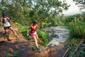 BIB: 
                            <button type="button" onclick="openModal(25676630)" class="btn btn-primary btn-sm float-right btn-popup" data-toggle="modal" data-target=".modal-high-quality">
                        <i class="fas fa-shopping-cart"></i> Add to Cart
                    </button>
                                            <button type="button" onclick="isThisMe(25676630, true)" class="btn btn-success btn-sm float-right btn-popup btn-isme hidden" data-toggle="tooltip" data-placement="bottom" title="นี่คือรูปของคุณใช่ไหม คลิกที่นี่เพื่อเอาเข้าอัลบั้ม">
                        <i class="fas fa-plus"></i> Add to album
                    </button>
                    <button type="button" onclick="isThisMe(25676630, false)" class="btn btn-warning btn-sm float-right btn-popup btn-isnotme hidden">
                        <i class="fas fa-ban"></i> Remove from album
                    </button>