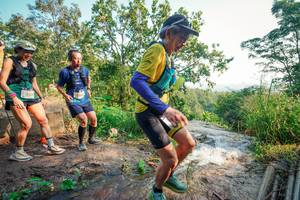 BIB: 
                            <button type="button" onclick="openModal(25694497)" class="btn btn-primary btn-sm float-right btn-popup" data-toggle="modal" data-target=".modal-high-quality">
                        <i class="fas fa-shopping-cart"></i> Add to Cart
                    </button>
                                            <button type="button" onclick="isThisMe(25694497, true)" class="btn btn-success btn-sm float-right btn-popup btn-isme hidden" data-toggle="tooltip" data-placement="bottom" title="นี่คือรูปของคุณใช่ไหม คลิกที่นี่เพื่อเอาเข้าอัลบั้ม">
                        <i class="fas fa-plus"></i> Add to album
                    </button>
                    <button type="button" onclick="isThisMe(25694497, false)" class="btn btn-warning btn-sm float-right btn-popup btn-isnotme hidden">
                        <i class="fas fa-ban"></i> Remove from album
                    </button>