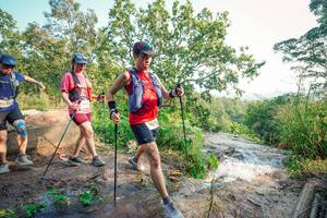 BIB: 
                            <button type="button" onclick="openModal(25699791)" class="btn btn-primary btn-sm float-right btn-popup" data-toggle="modal" data-target=".modal-high-quality">
                        <i class="fas fa-shopping-cart"></i> Add to Cart
                    </button>
                                            <button type="button" onclick="isThisMe(25699791, true)" class="btn btn-success btn-sm float-right btn-popup btn-isme hidden" data-toggle="tooltip" data-placement="bottom" title="นี่คือรูปของคุณใช่ไหม คลิกที่นี่เพื่อเอาเข้าอัลบั้ม">
                        <i class="fas fa-plus"></i> Add to album
                    </button>
                    <button type="button" onclick="isThisMe(25699791, false)" class="btn btn-warning btn-sm float-right btn-popup btn-isnotme hidden">
                        <i class="fas fa-ban"></i> Remove from album
                    </button>