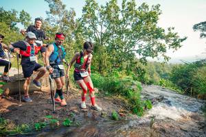 BIB: 
                            <button type="button" onclick="openModal(25695268)" class="btn btn-primary btn-sm float-right btn-popup" data-toggle="modal" data-target=".modal-high-quality">
                        <i class="fas fa-shopping-cart"></i> Add to Cart
                    </button>
                                            <button type="button" onclick="isThisMe(25695268, true)" class="btn btn-success btn-sm float-right btn-popup btn-isme hidden" data-toggle="tooltip" data-placement="bottom" title="นี่คือรูปของคุณใช่ไหม คลิกที่นี่เพื่อเอาเข้าอัลบั้ม">
                        <i class="fas fa-plus"></i> Add to album
                    </button>
                    <button type="button" onclick="isThisMe(25695268, false)" class="btn btn-warning btn-sm float-right btn-popup btn-isnotme hidden">
                        <i class="fas fa-ban"></i> Remove from album
                    </button>