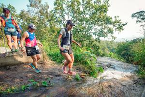 BIB: 
                            <button type="button" onclick="openModal(25689158)" class="btn btn-primary btn-sm float-right btn-popup" data-toggle="modal" data-target=".modal-high-quality">
                        <i class="fas fa-shopping-cart"></i> Add to Cart
                    </button>
                                            <button type="button" onclick="isThisMe(25689158, true)" class="btn btn-success btn-sm float-right btn-popup btn-isme hidden" data-toggle="tooltip" data-placement="bottom" title="นี่คือรูปของคุณใช่ไหม คลิกที่นี่เพื่อเอาเข้าอัลบั้ม">
                        <i class="fas fa-plus"></i> Add to album
                    </button>
                    <button type="button" onclick="isThisMe(25689158, false)" class="btn btn-warning btn-sm float-right btn-popup btn-isnotme hidden">
                        <i class="fas fa-ban"></i> Remove from album
                    </button>