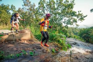 BIB: 
                            <button type="button" onclick="openModal(25681141)" class="btn btn-primary btn-sm float-right btn-popup" data-toggle="modal" data-target=".modal-high-quality">
                        <i class="fas fa-shopping-cart"></i> Add to Cart
                    </button>
                                            <button type="button" onclick="isThisMe(25681141, true)" class="btn btn-success btn-sm float-right btn-popup btn-isme hidden" data-toggle="tooltip" data-placement="bottom" title="นี่คือรูปของคุณใช่ไหม คลิกที่นี่เพื่อเอาเข้าอัลบั้ม">
                        <i class="fas fa-plus"></i> Add to album
                    </button>
                    <button type="button" onclick="isThisMe(25681141, false)" class="btn btn-warning btn-sm float-right btn-popup btn-isnotme hidden">
                        <i class="fas fa-ban"></i> Remove from album
                    </button>