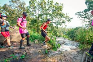 BIB: 
                            <button type="button" onclick="openModal(25713898)" class="btn btn-primary btn-sm float-right btn-popup" data-toggle="modal" data-target=".modal-high-quality">
                        <i class="fas fa-shopping-cart"></i> Add to Cart
                    </button>
                                            <button type="button" onclick="isThisMe(25713898, true)" class="btn btn-success btn-sm float-right btn-popup btn-isme hidden" data-toggle="tooltip" data-placement="bottom" title="นี่คือรูปของคุณใช่ไหม คลิกที่นี่เพื่อเอาเข้าอัลบั้ม">
                        <i class="fas fa-plus"></i> Add to album
                    </button>
                    <button type="button" onclick="isThisMe(25713898, false)" class="btn btn-warning btn-sm float-right btn-popup btn-isnotme hidden">
                        <i class="fas fa-ban"></i> Remove from album
                    </button>