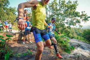 BIB: 
                            <button type="button" onclick="openModal(25705829)" class="btn btn-primary btn-sm float-right btn-popup" data-toggle="modal" data-target=".modal-high-quality">
                        <i class="fas fa-shopping-cart"></i> Add to Cart
                    </button>
                                            <button type="button" onclick="isThisMe(25705829, true)" class="btn btn-success btn-sm float-right btn-popup btn-isme hidden" data-toggle="tooltip" data-placement="bottom" title="นี่คือรูปของคุณใช่ไหม คลิกที่นี่เพื่อเอาเข้าอัลบั้ม">
                        <i class="fas fa-plus"></i> Add to album
                    </button>
                    <button type="button" onclick="isThisMe(25705829, false)" class="btn btn-warning btn-sm float-right btn-popup btn-isnotme hidden">
                        <i class="fas fa-ban"></i> Remove from album
                    </button>