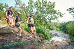 BIB: 
                            <button type="button" onclick="openModal(25693219)" class="btn btn-primary btn-sm float-right btn-popup" data-toggle="modal" data-target=".modal-high-quality">
                        <i class="fas fa-shopping-cart"></i> Add to Cart
                    </button>
                                            <button type="button" onclick="isThisMe(25693219, true)" class="btn btn-success btn-sm float-right btn-popup btn-isme hidden" data-toggle="tooltip" data-placement="bottom" title="นี่คือรูปของคุณใช่ไหม คลิกที่นี่เพื่อเอาเข้าอัลบั้ม">
                        <i class="fas fa-plus"></i> Add to album
                    </button>
                    <button type="button" onclick="isThisMe(25693219, false)" class="btn btn-warning btn-sm float-right btn-popup btn-isnotme hidden">
                        <i class="fas fa-ban"></i> Remove from album
                    </button>