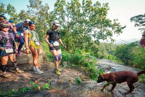 BIB: 
                            <button type="button" onclick="openModal(25704935)" class="btn btn-primary btn-sm float-right btn-popup" data-toggle="modal" data-target=".modal-high-quality">
                        <i class="fas fa-shopping-cart"></i> Add to Cart
                    </button>
                                            <button type="button" onclick="isThisMe(25704935, true)" class="btn btn-success btn-sm float-right btn-popup btn-isme hidden" data-toggle="tooltip" data-placement="bottom" title="นี่คือรูปของคุณใช่ไหม คลิกที่นี่เพื่อเอาเข้าอัลบั้ม">
                        <i class="fas fa-plus"></i> Add to album
                    </button>
                    <button type="button" onclick="isThisMe(25704935, false)" class="btn btn-warning btn-sm float-right btn-popup btn-isnotme hidden">
                        <i class="fas fa-ban"></i> Remove from album
                    </button>