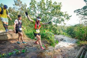 BIB: 
                            <button type="button" onclick="openModal(25686911)" class="btn btn-primary btn-sm float-right btn-popup" data-toggle="modal" data-target=".modal-high-quality">
                        <i class="fas fa-shopping-cart"></i> Add to Cart
                    </button>
                                            <button type="button" onclick="isThisMe(25686911, true)" class="btn btn-success btn-sm float-right btn-popup btn-isme hidden" data-toggle="tooltip" data-placement="bottom" title="นี่คือรูปของคุณใช่ไหม คลิกที่นี่เพื่อเอาเข้าอัลบั้ม">
                        <i class="fas fa-plus"></i> Add to album
                    </button>
                    <button type="button" onclick="isThisMe(25686911, false)" class="btn btn-warning btn-sm float-right btn-popup btn-isnotme hidden">
                        <i class="fas fa-ban"></i> Remove from album
                    </button>