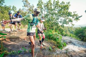 BIB: 
                            <button type="button" onclick="openModal(25698959)" class="btn btn-primary btn-sm float-right btn-popup" data-toggle="modal" data-target=".modal-high-quality">
                        <i class="fas fa-shopping-cart"></i> Add to Cart
                    </button>
                                            <button type="button" onclick="isThisMe(25698959, true)" class="btn btn-success btn-sm float-right btn-popup btn-isme hidden" data-toggle="tooltip" data-placement="bottom" title="นี่คือรูปของคุณใช่ไหม คลิกที่นี่เพื่อเอาเข้าอัลบั้ม">
                        <i class="fas fa-plus"></i> Add to album
                    </button>
                    <button type="button" onclick="isThisMe(25698959, false)" class="btn btn-warning btn-sm float-right btn-popup btn-isnotme hidden">
                        <i class="fas fa-ban"></i> Remove from album
                    </button>